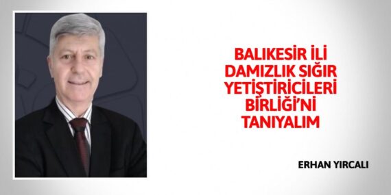 BALIKESİR İLİ DAMIZLIK SIĞIR YETİŞTİRİCİLERİ BİRLİĞİ’Nİ TANIYALIM