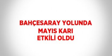 23972280082077026114tasarimli