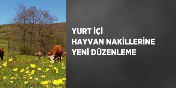 YURT İÇİ HAYVAN NAKİLLERİNE YENİ DÜZENLEME