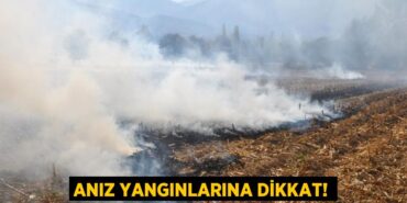 23977227092138423268