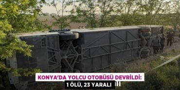 23981287342804126222tasarimli