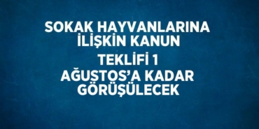 23983246943059020497tasarimli