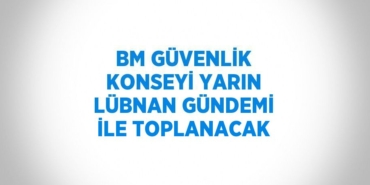 23985271302849731941tasarimli