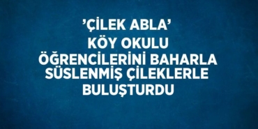 23988259172830928697tasarimli