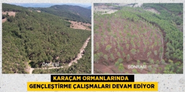 23988300102436531434tasarimli