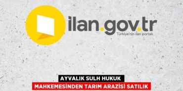 23989234242323522007tasarimli