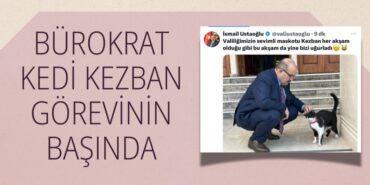 23991244352185521879