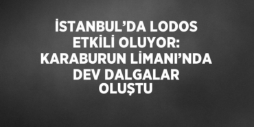 23995232372978522971tasarimli