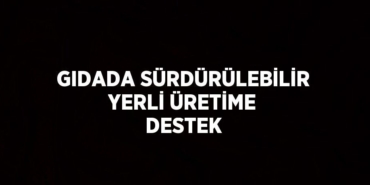 23996265343007520966tasarimli