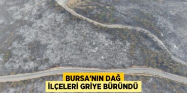 23999319362893727508tasarimli