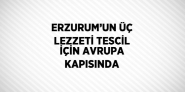 24003229422024420003tasarimli