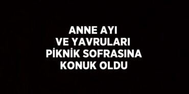 24005300533094527189tasarimli