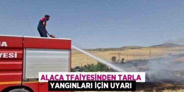 24015216493188421954tasarimli