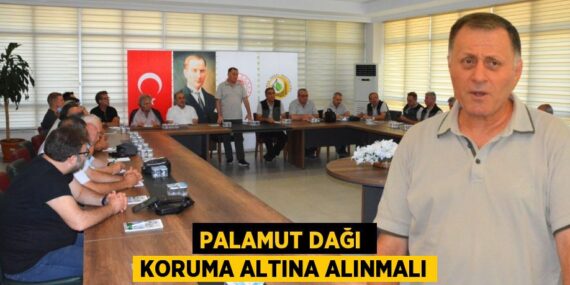 PALAMUT DAĞI  KORUMA ALTINA ALINMALI