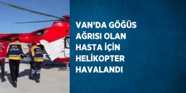 24028301332062121186