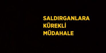 24029201632786221503