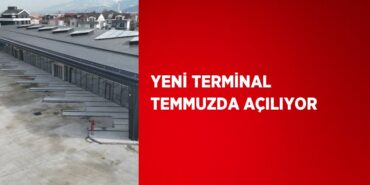 24031201932436222672