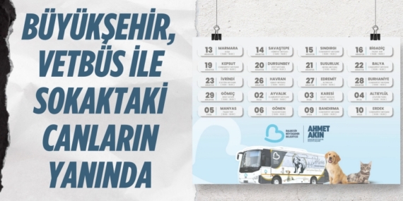 BÜYÜKŞEHİR, VETBÜS  İLE SOKAKTAKİ CANLARIN YANINDA