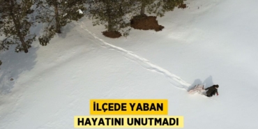 24038294773041722879tasarimli