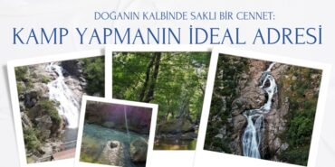 24047249282261922468