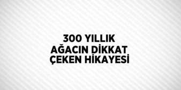 24050209802177427664tasarimli
