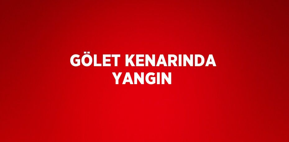 24061279602847921369tasarimli