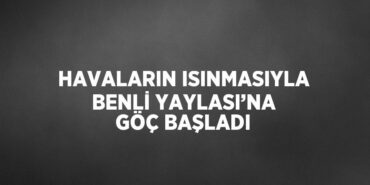 24063230632091422756tasarimli