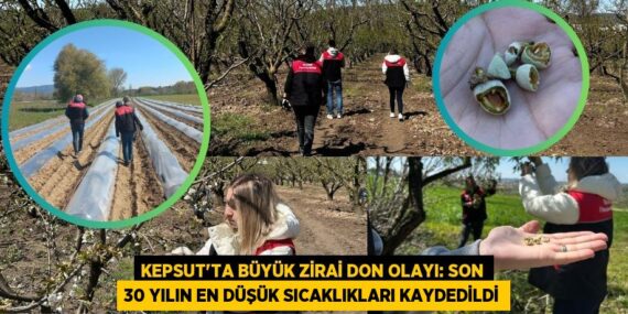 KEPSUT’TA BÜYÜK ZİRAİ DON OLAYI: SON 30 YILIN EN DÜŞÜK SICAKLIKLARI KAYDEDİLDİ