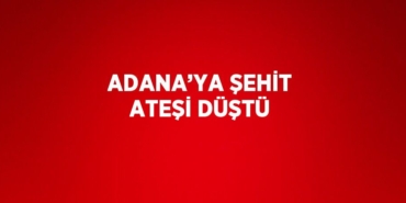 24064279252430826215tasarimli