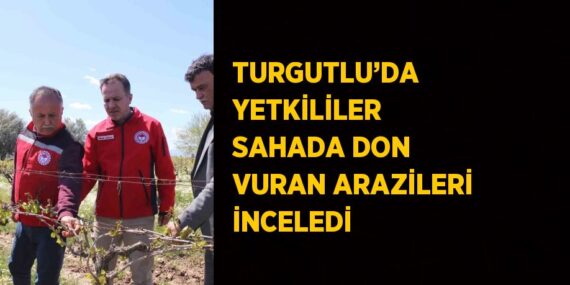 TURGUTLU’DA YETKİLİLER SAHADA DON VURAN ARAZİLERİ İNCELEDİ