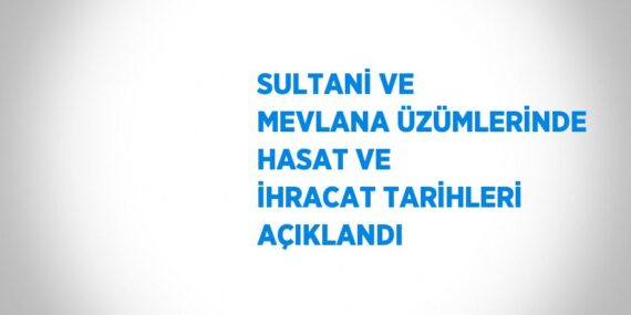 SULTANİ VE MEVLANA ÜZÜMLERİNDE HASAT VE İHRACAT TARİHLERİ AÇIKLANDI