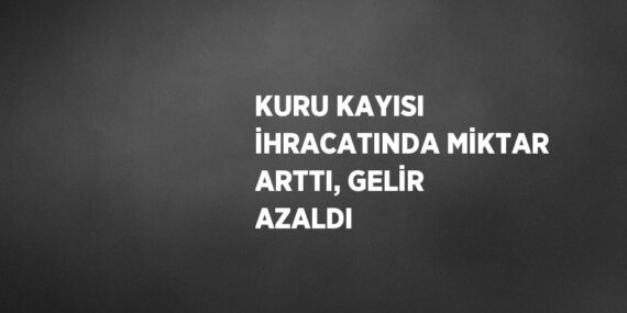 KURU KAYISI İHRACATINDA MİKTAR ARTTI, GELİR AZALDI
