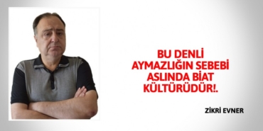 24072210232685529572