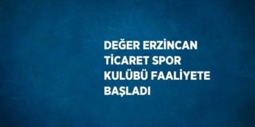 24072280892260328153