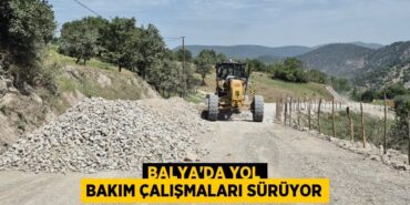 24083209862804729207tasarimli