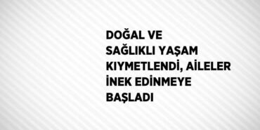 24084228162531829441