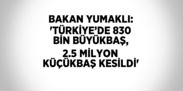 24085205742489427175tasarimli