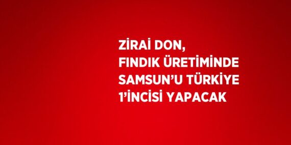 ZİRAİ DON, FINDIK ÜRETİMİNDE SAMSUN’U TÜRKİYE 1’İNCİSİ YAPACAK