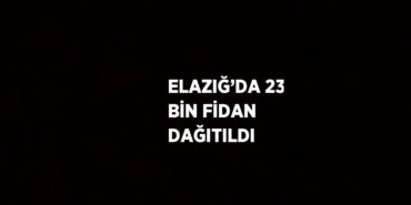 24090232572841430792