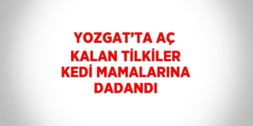 24098200562151120337tasarimli