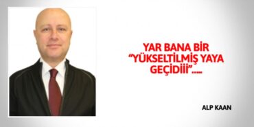 24100245632904131659