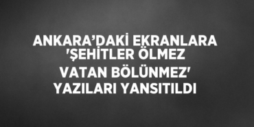 24100260073154330237tasarimli