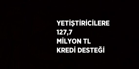 YETİŞTİRİCİLERE 127,7 MİLYON TL KREDİ DESTEĞİ