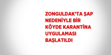 24104244882429626816