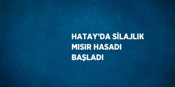 HATAY’DA SİLAJLIK MISIR HASADI BAŞLADI