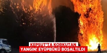 24105309603125922012tasarimli