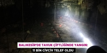 24108226482824222192tasarimli