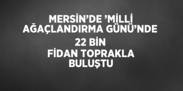 24108293782999231524tasarimli