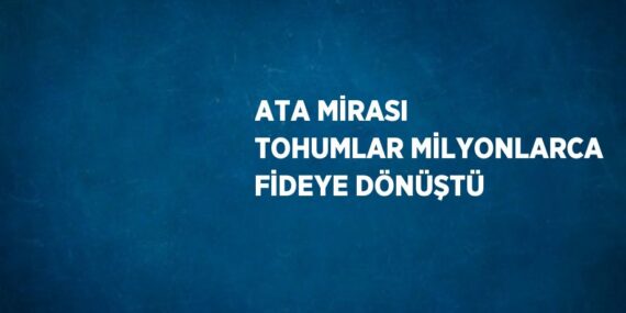 ATA MİRASI TOHUMLAR MİLYONLARCA FİDEYE DÖNÜŞTÜ