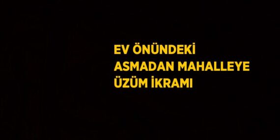 EV ÖNÜNDEKİ ASMADAN MAHALLEYE ÜZÜM İKRAMI